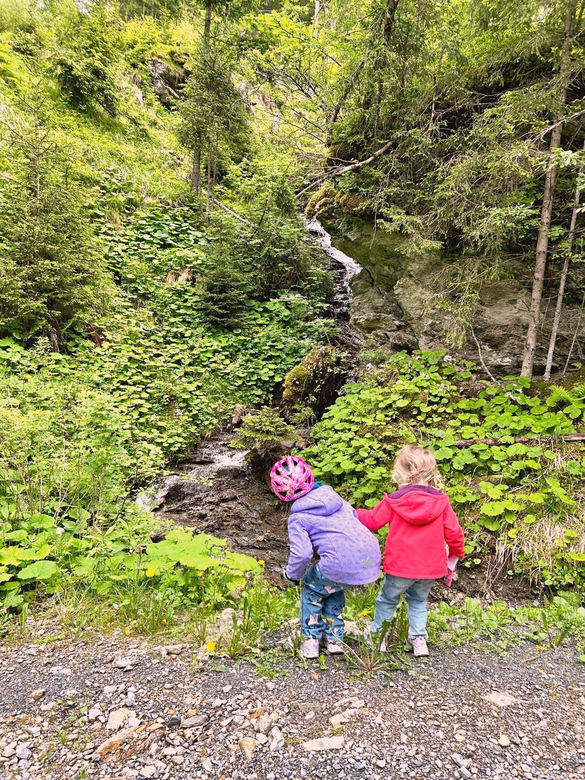Family walking through forest trail near Kreischberg.